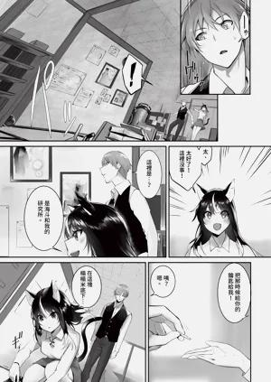 第104頁圖