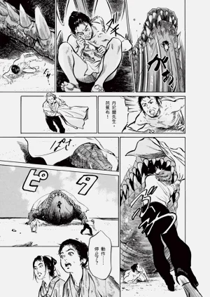 第195頁圖