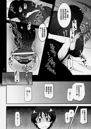 第21頁圖