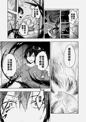第20页图
