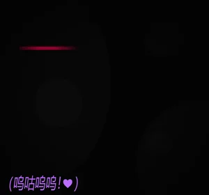 第91頁圖