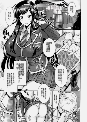 第204頁圖
