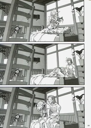 第33頁圖