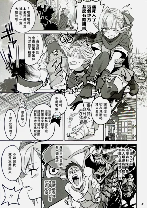 第41頁圖
