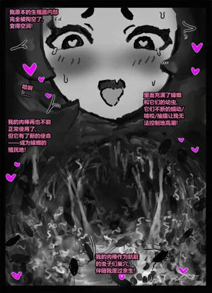 第115頁圖