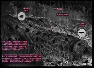 第121頁圖