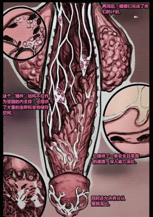 第54頁圖