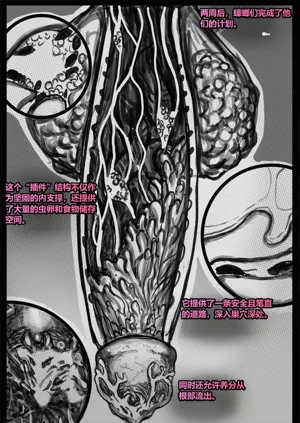 第109頁圖