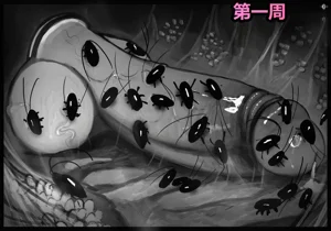 第115頁圖