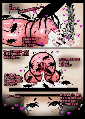第27頁圖