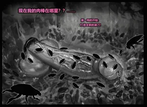 第74頁圖