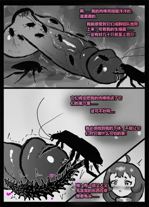 第78頁圖