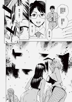 第213頁圖