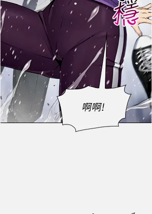 第333页图
