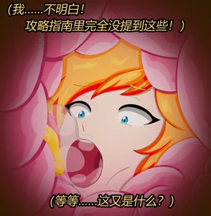 第17页图