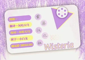 第46页图