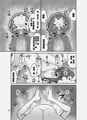 第29頁圖