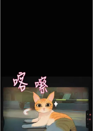 第166頁圖