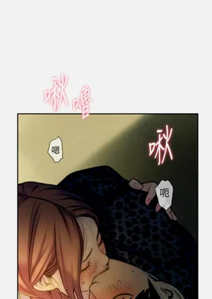 第211頁圖