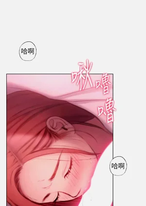 第236頁圖