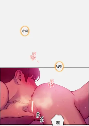 第255頁圖