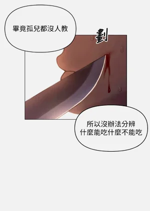第303頁圖