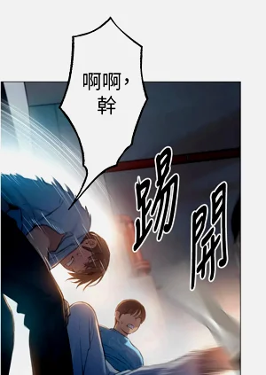 第305頁圖