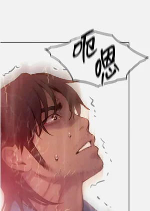 第308頁圖