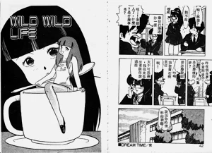 第22頁圖