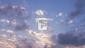 第13页图