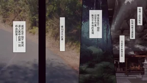 第3页图