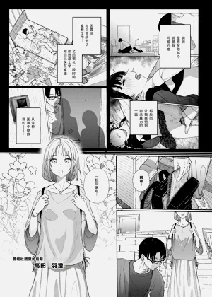 第11页图