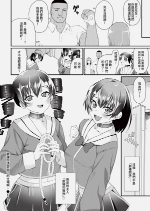 第256页图