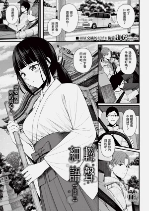 第333页图