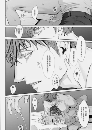 第219頁圖