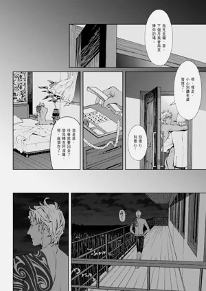 第221頁圖