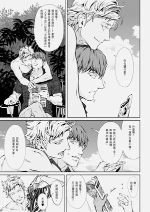 第294頁圖