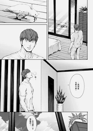 第517頁圖