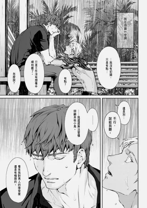 第531頁圖