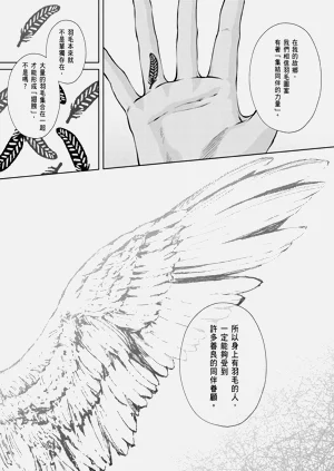 第613頁圖