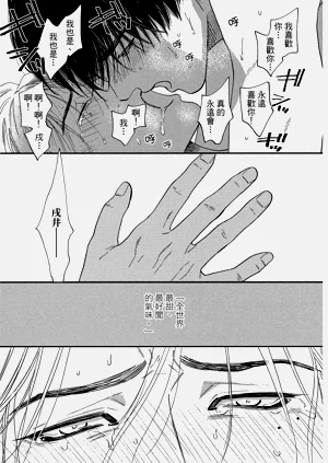 第248頁圖