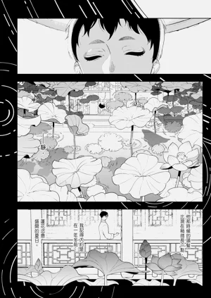 第32页图