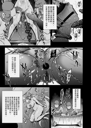 第17页图