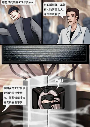 第11页图