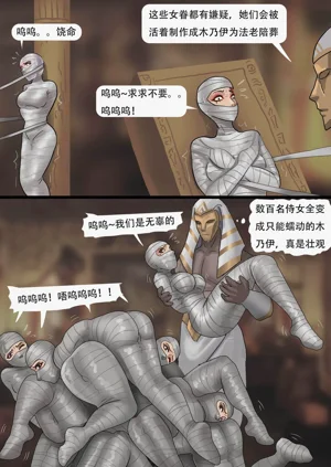 第51页图