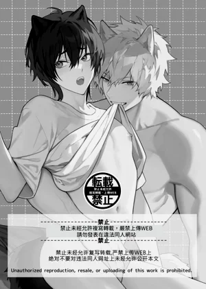 第49頁圖