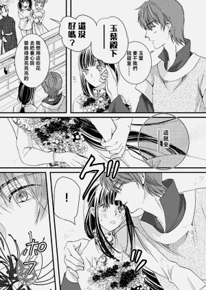 第204頁圖