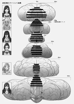 第41页图
