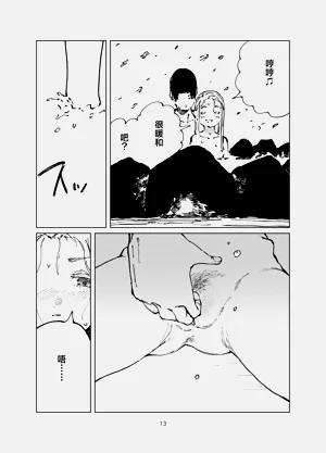 第13页图