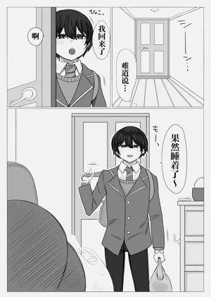 第4页图
